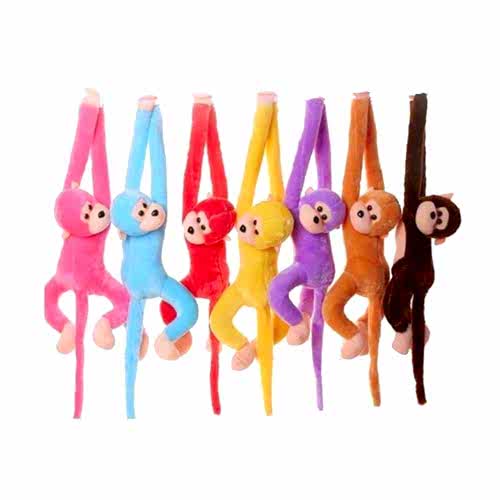 SDT MAYMUN CIRT CIRTLI 70CM * ?